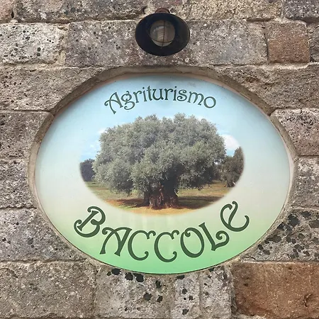 Baccole * Gagliano del Capo